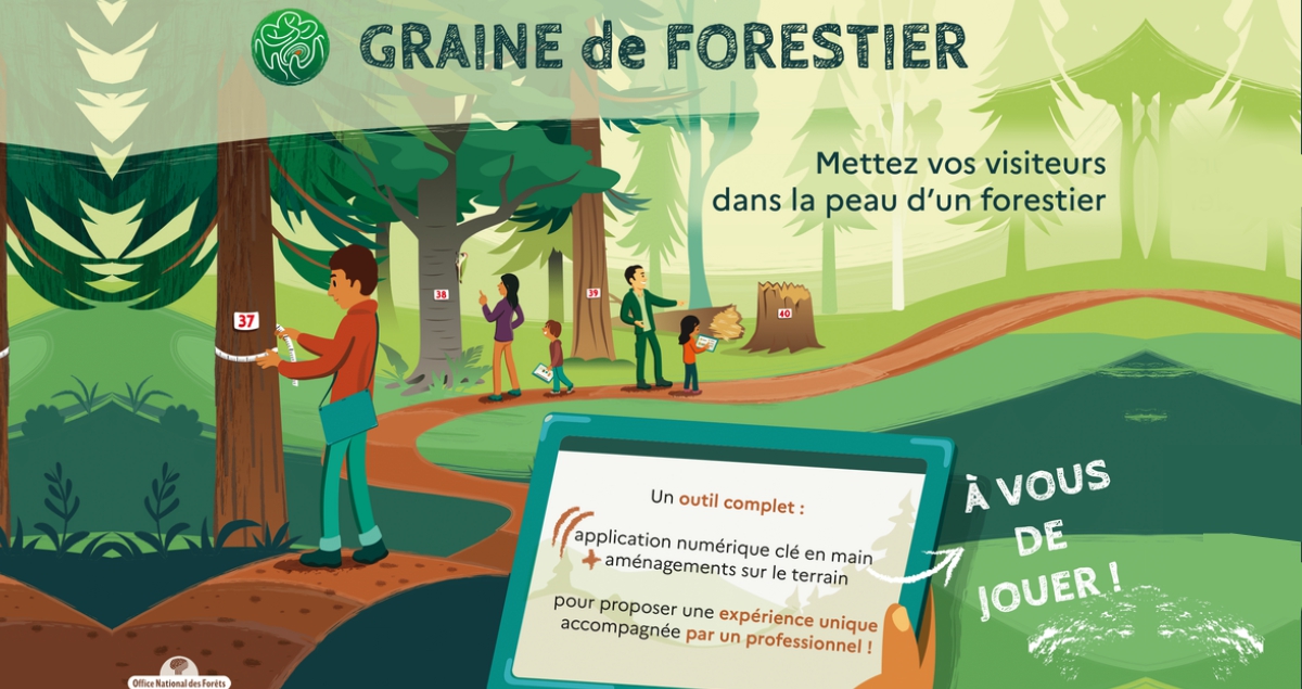 Graine de forestier : le Marteloscope digital