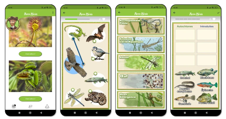 exemples de défis graphiques jeu de piste nature biodiversité et environnement